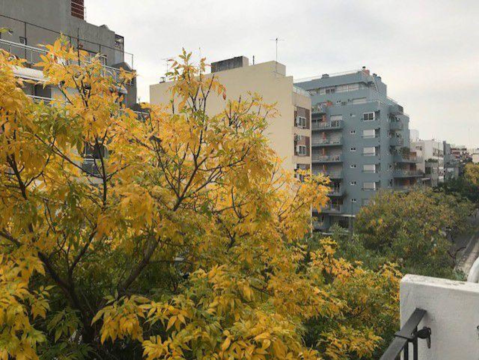ALQUILER TEMPORAL 3 AMBIENTES EN COGHLAN! - 20