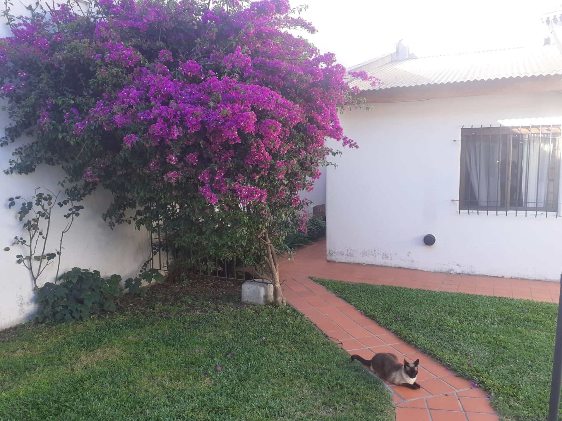 CASA EN VENTA EN SAN ANDRES 4AMB. + QUINCHO - 2