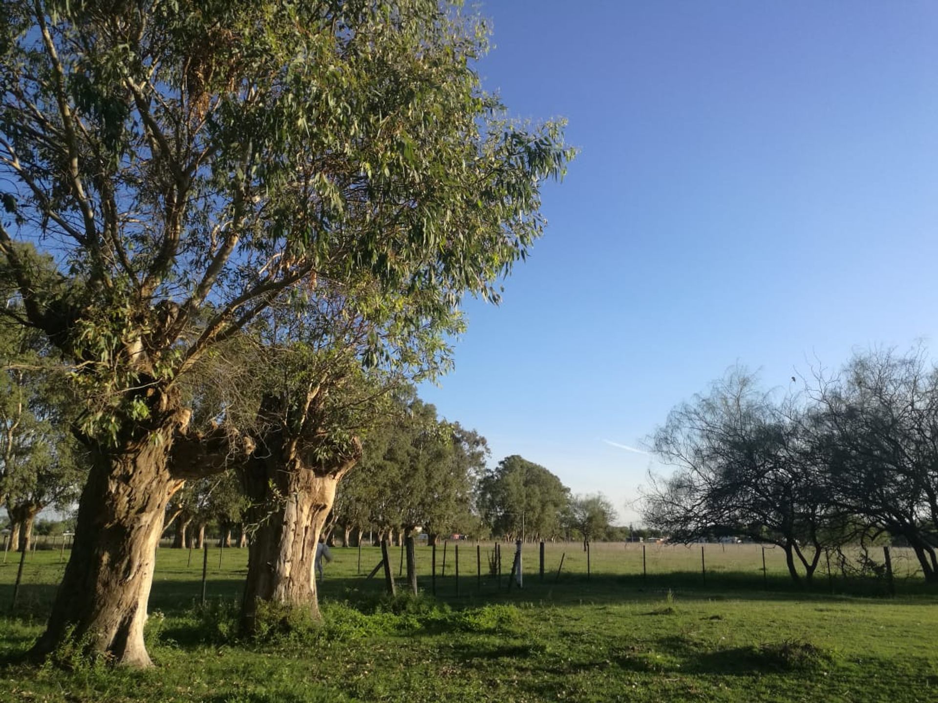VENTA LOTES NAVARRO DESDE 500 M2 - 3