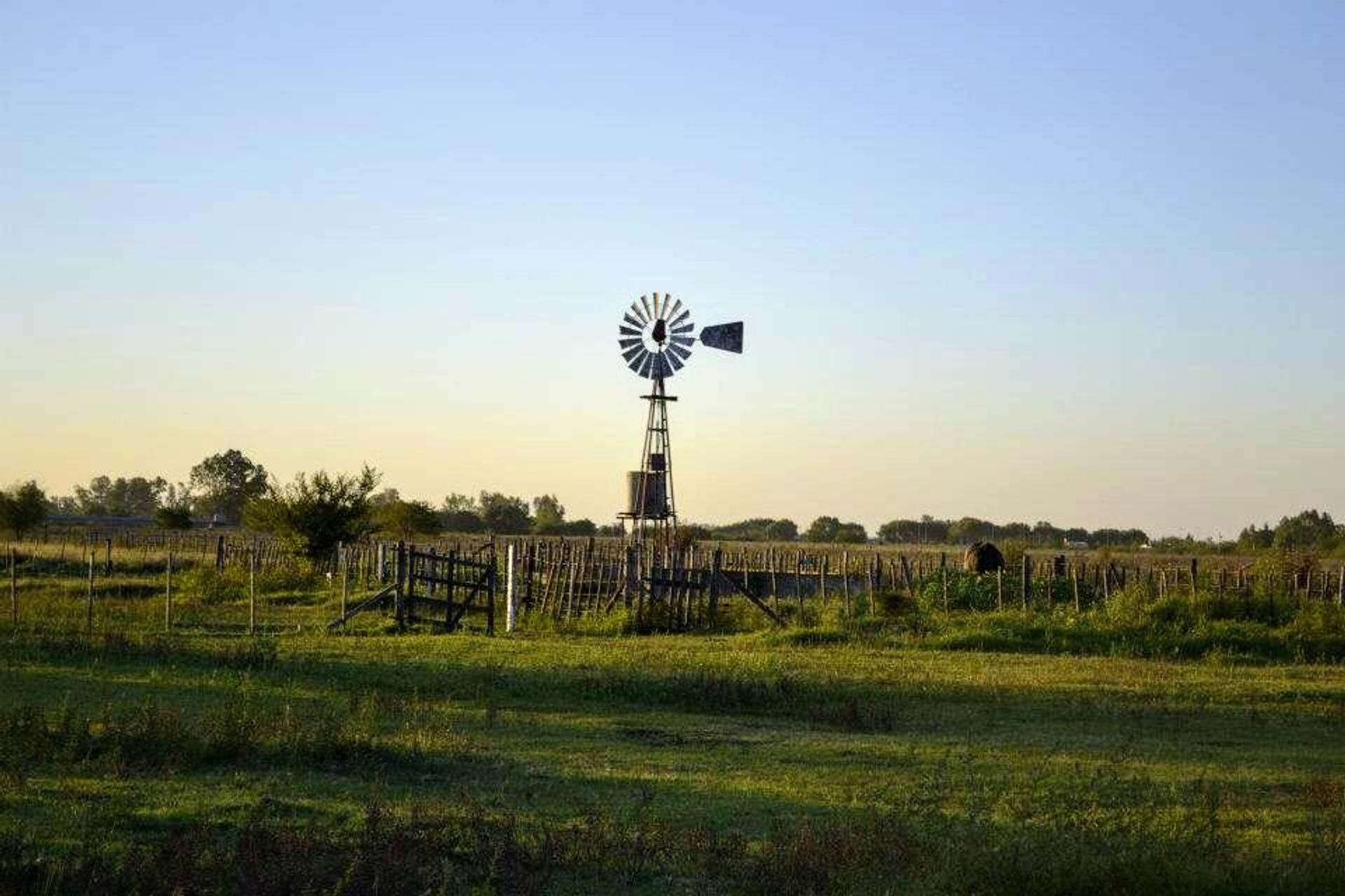 VENTA LOTES NAVARRO DESDE 500 M2 - 2