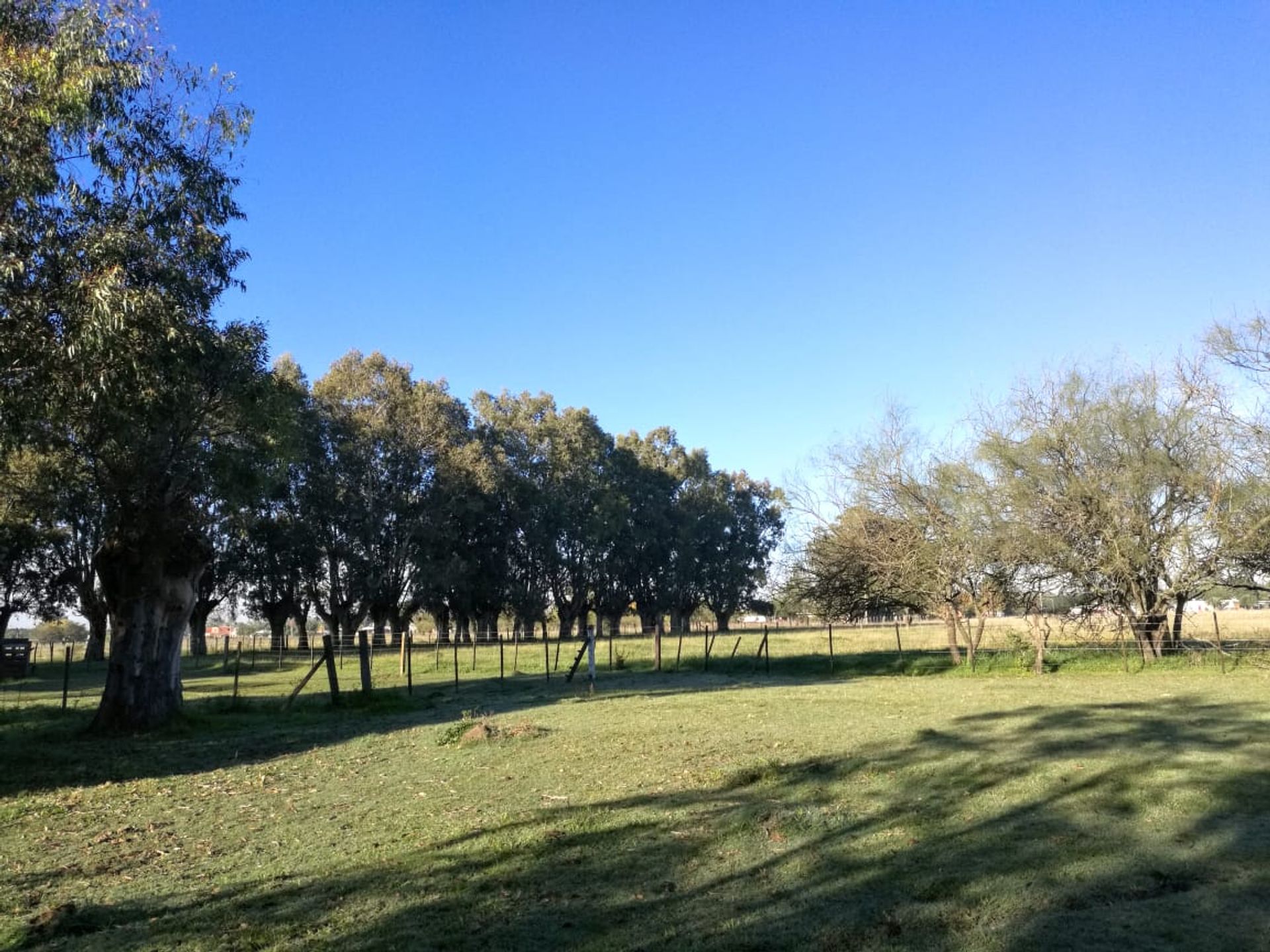 VENTA LOTES NAVARRO DESDE 500 M2 - 1