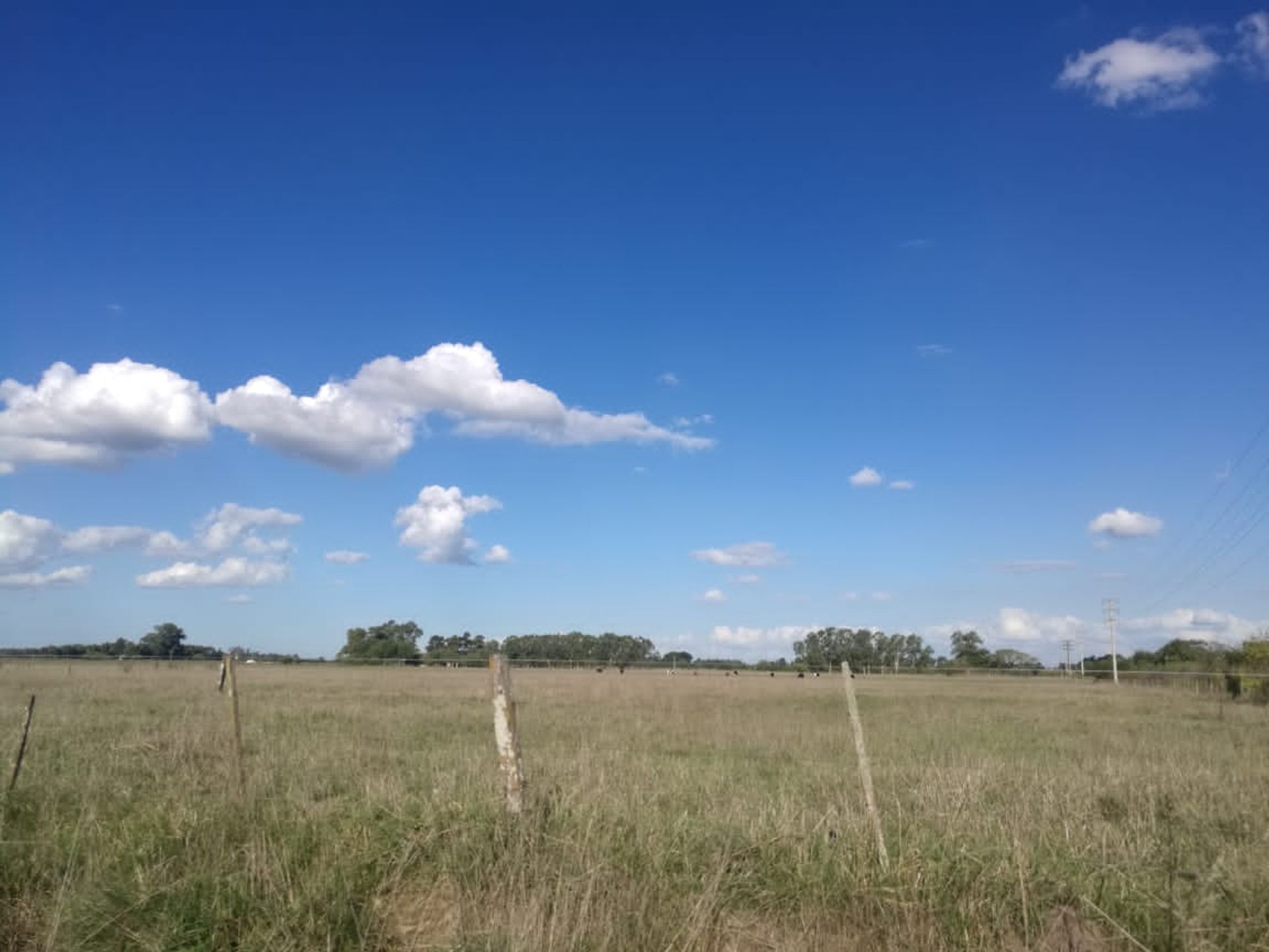 VENTA LOTES NAVARRO DESDE 500 M2 - 4