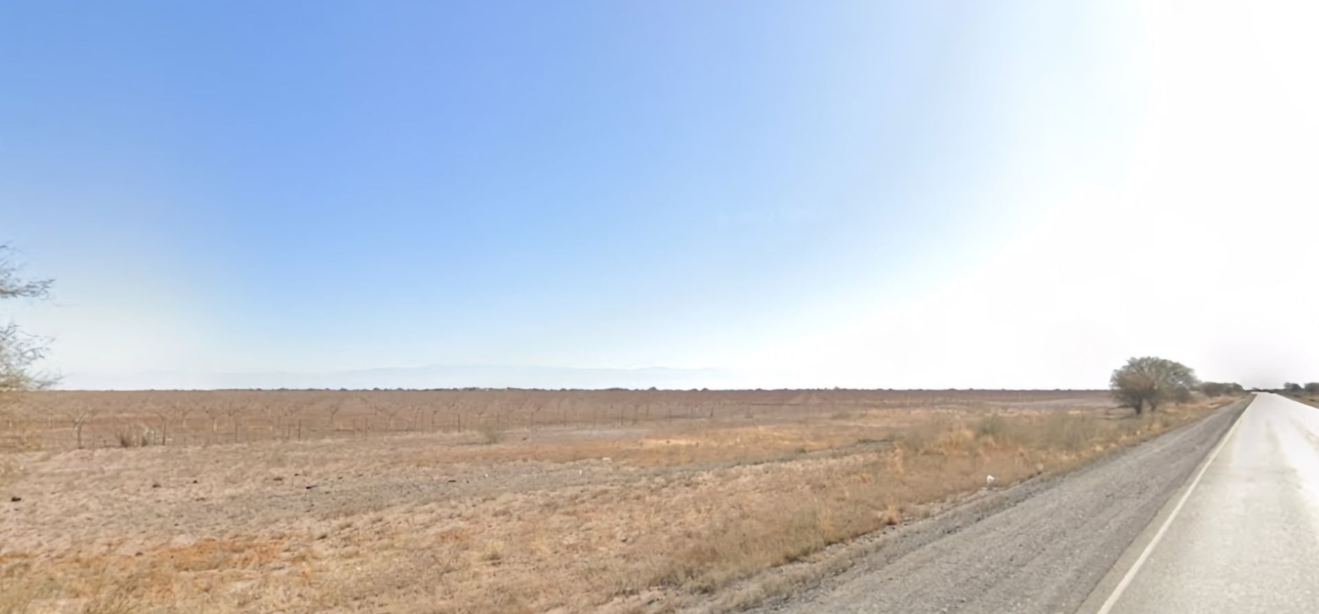 VENTA CAMPO 2.831 HAS SOBRE RUTA 20 EN 25 DE MAYO - 5