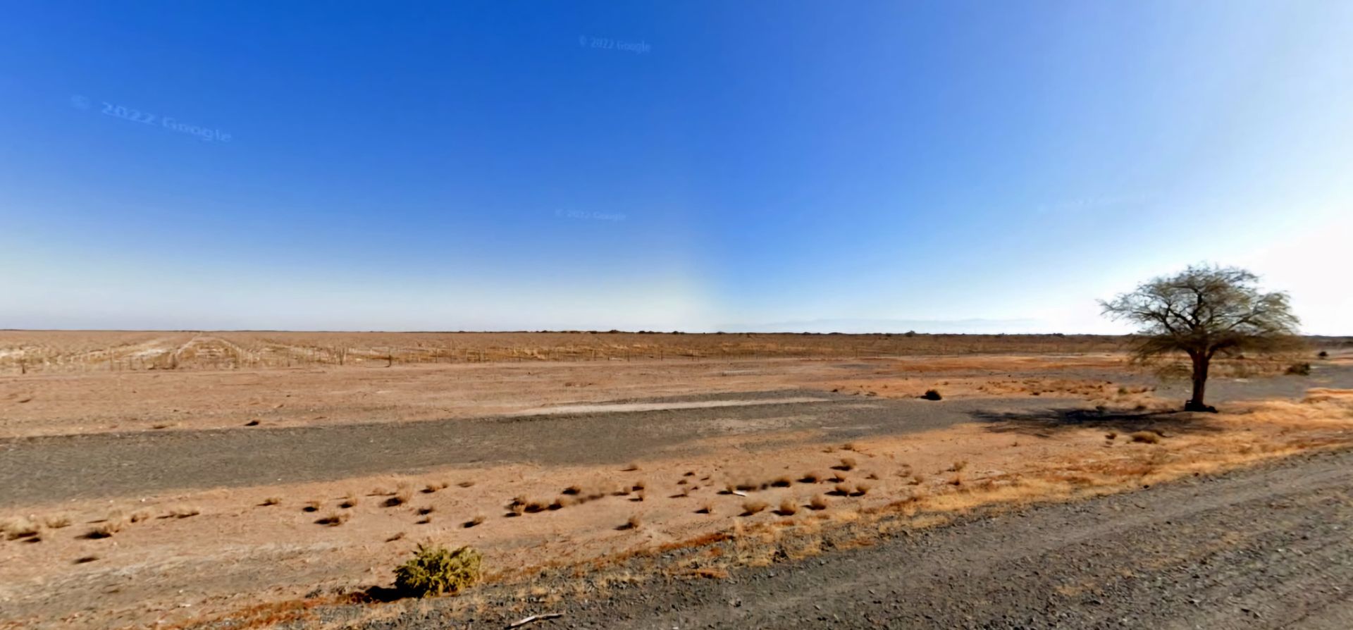VENTA CAMPO 2.831 HAS SOBRE RUTA 20 EN 25 DE MAYO - 2