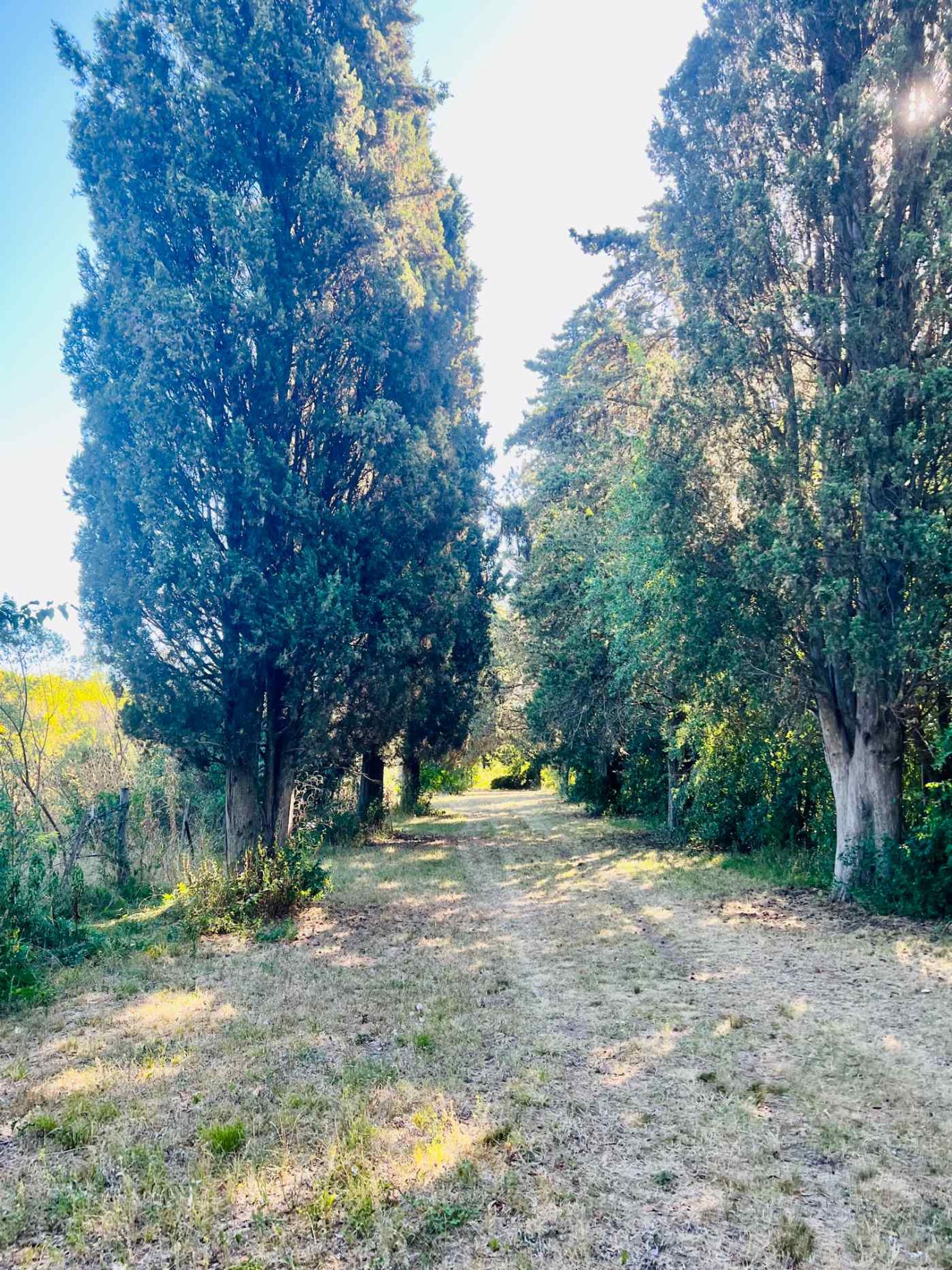Venta Lote El Cazador, Escobar Ideal Inversor 7 ha - 14