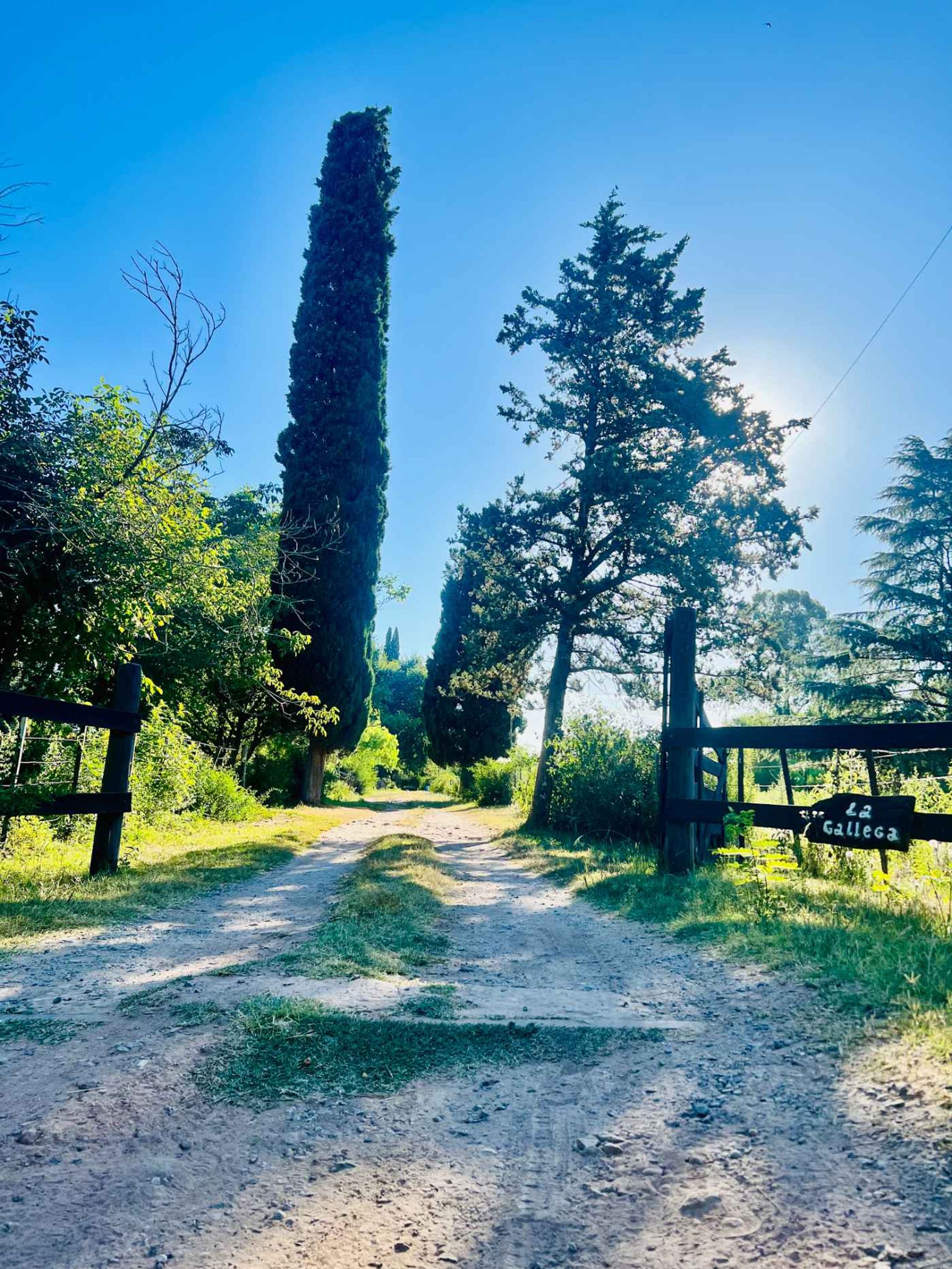 Venta Lote El Cazador, Escobar Ideal Inversor 7 ha - 3