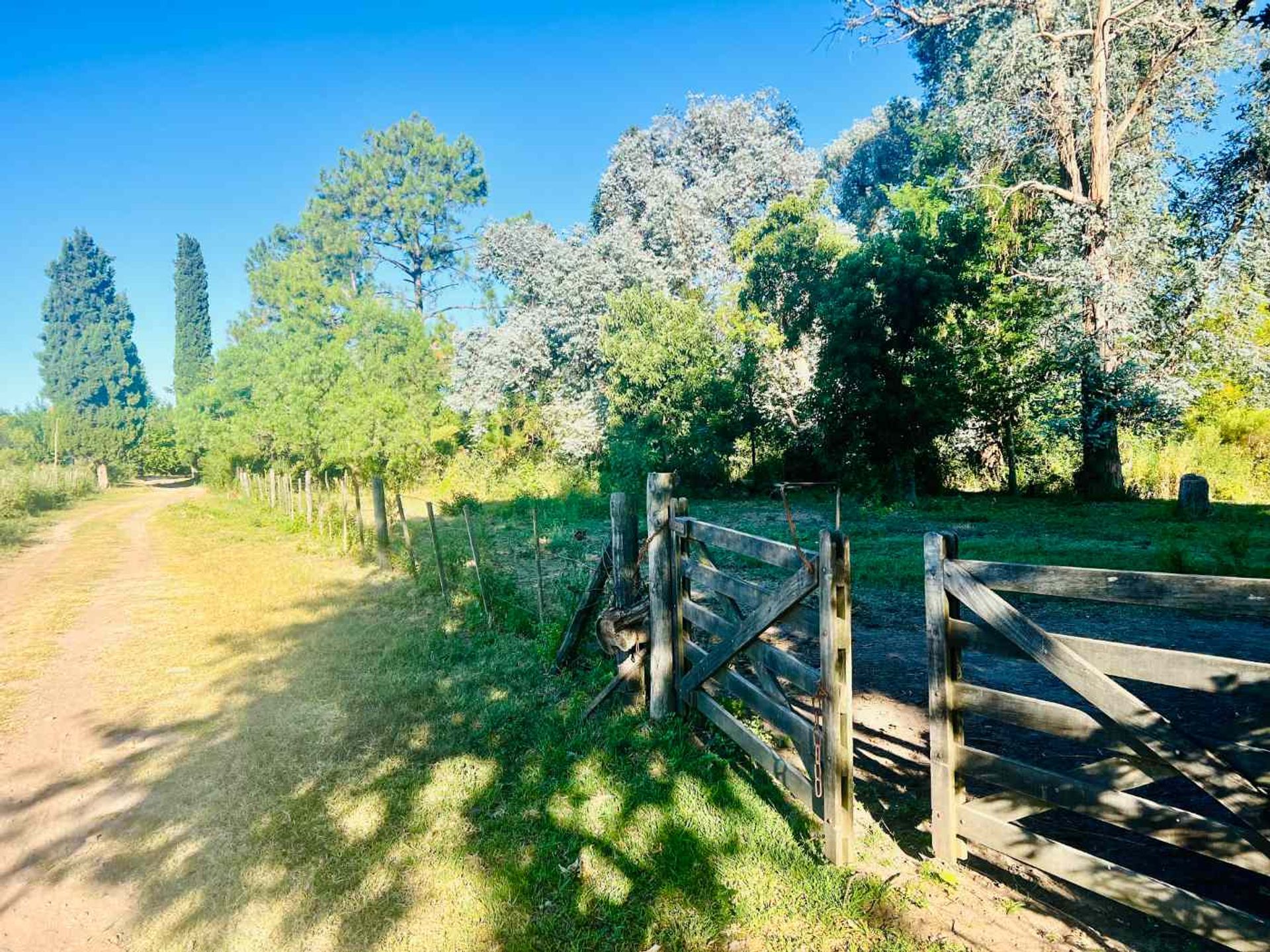 Venta Lote El Cazador, Escobar Ideal Inversor 7 ha - 4