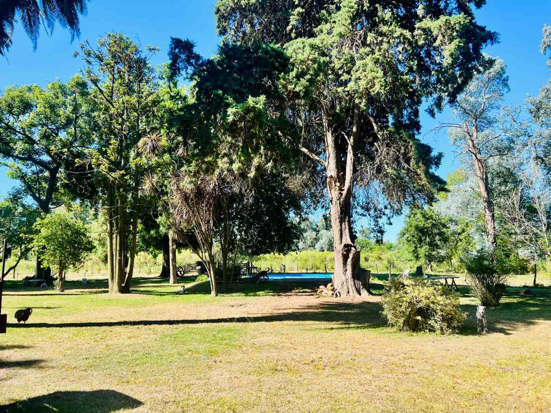Venta Lote El Cazador, Escobar Ideal Inversor 7 ha - 7