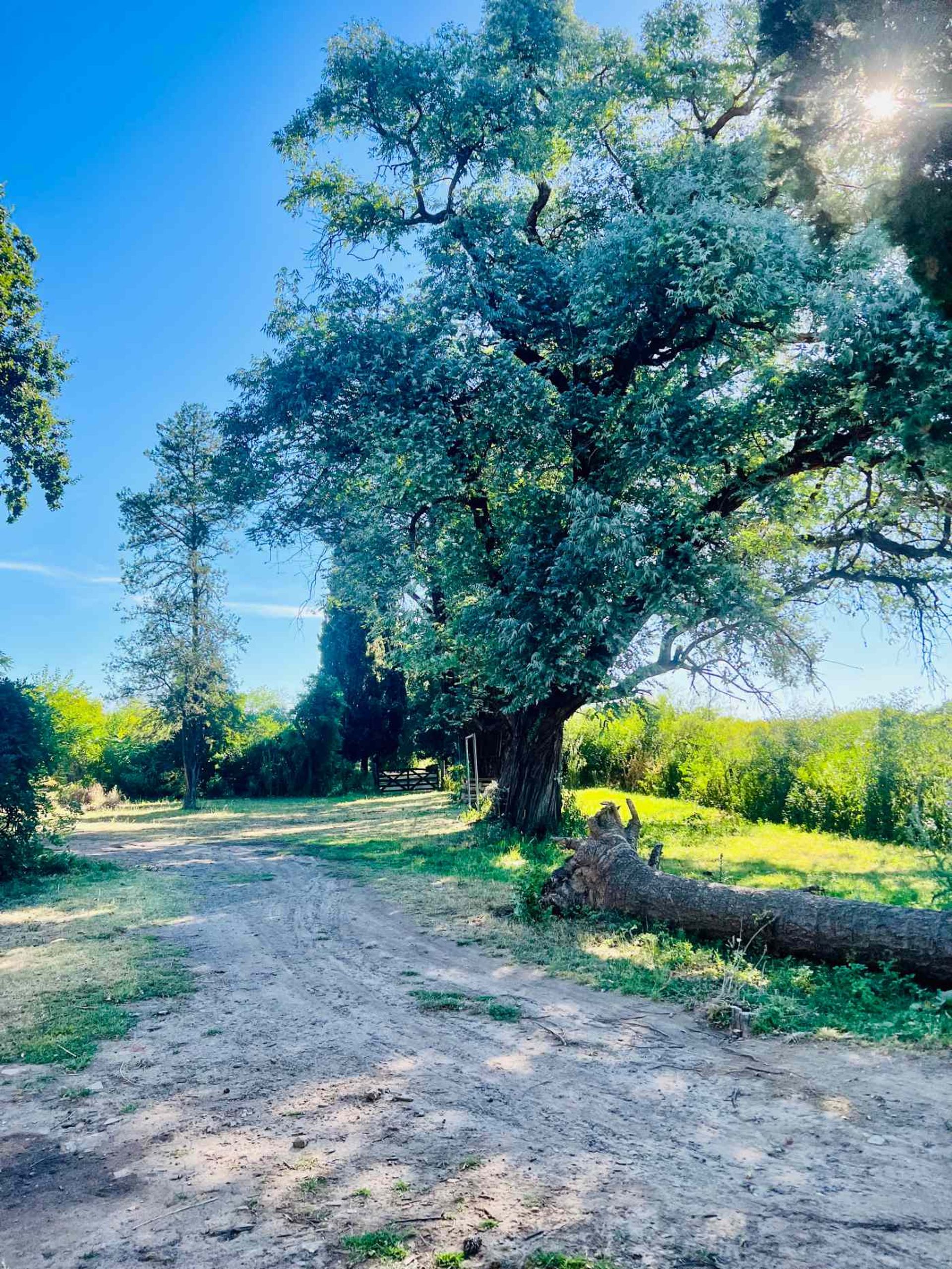 Venta Lote El Cazador, Escobar Ideal Inversor 7 ha - 12