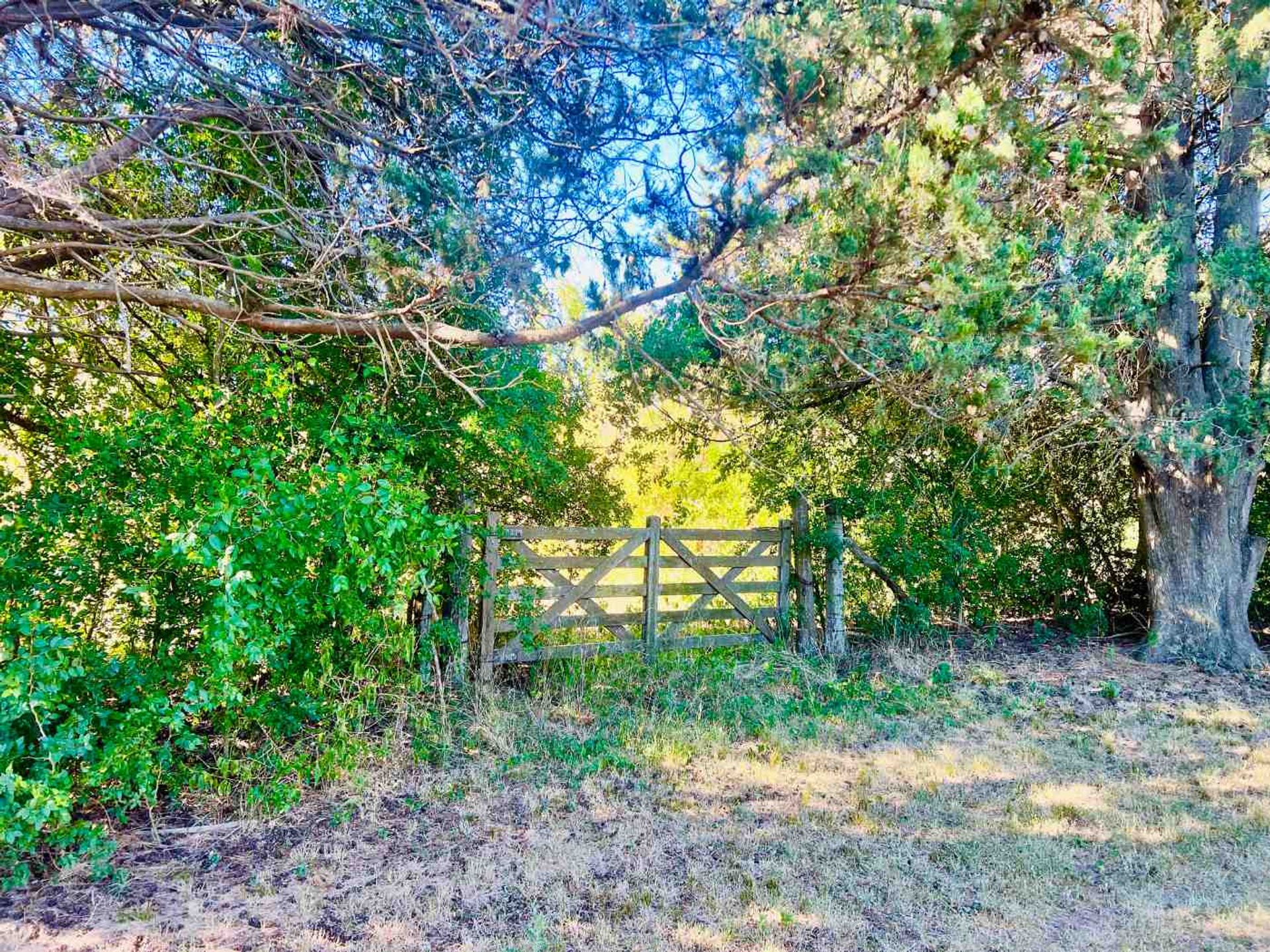 Venta Lote El Cazador, Escobar Ideal Inversor 7 ha - 17