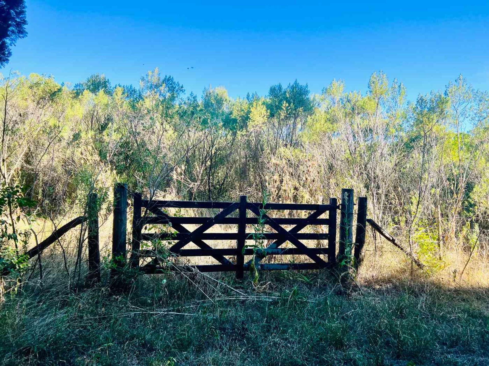 Venta Lote El Cazador, Escobar Ideal Inversor 7 ha - 16