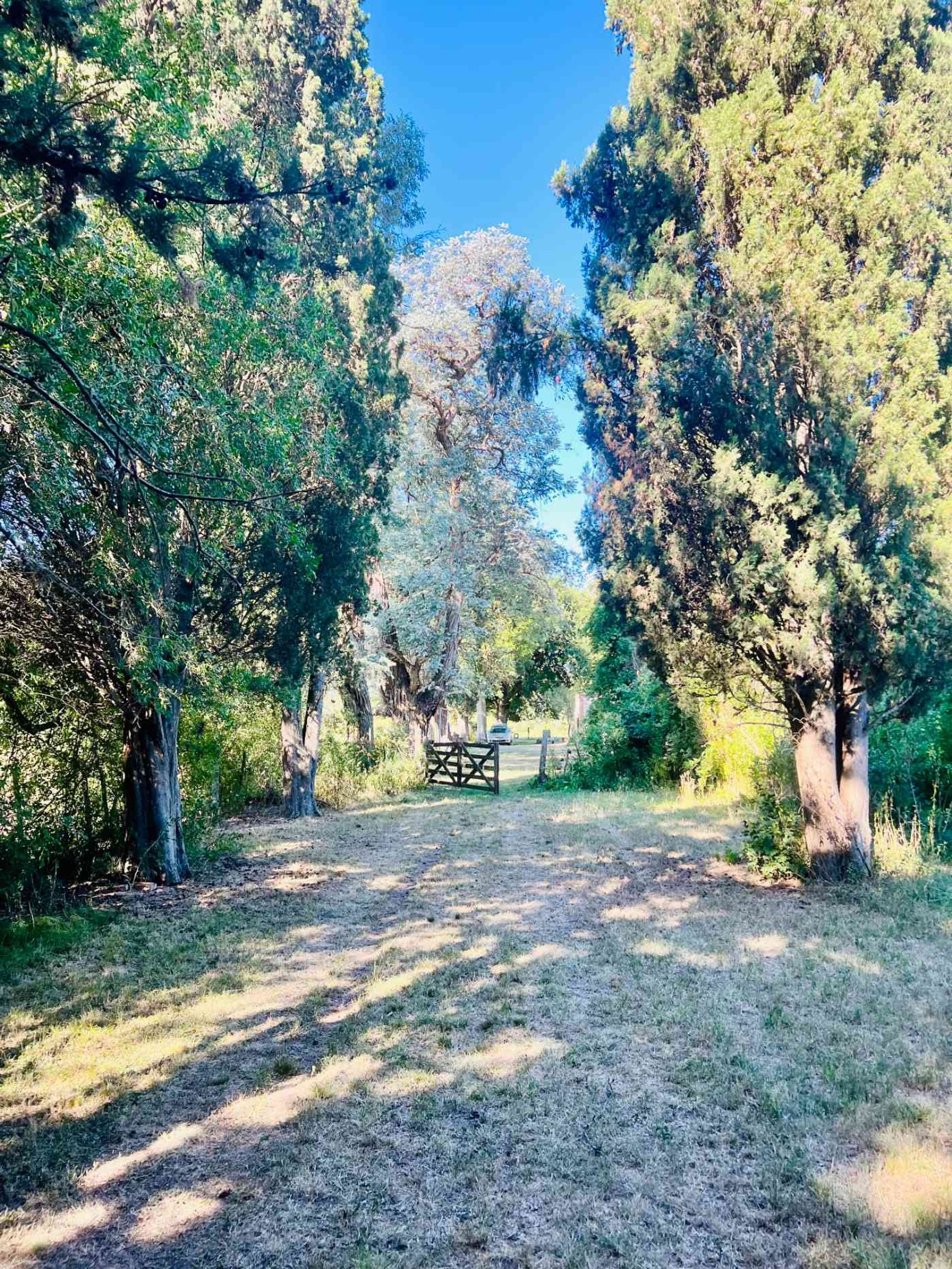 Venta Lote El Cazador, Escobar Ideal Inversor 7 ha - 15