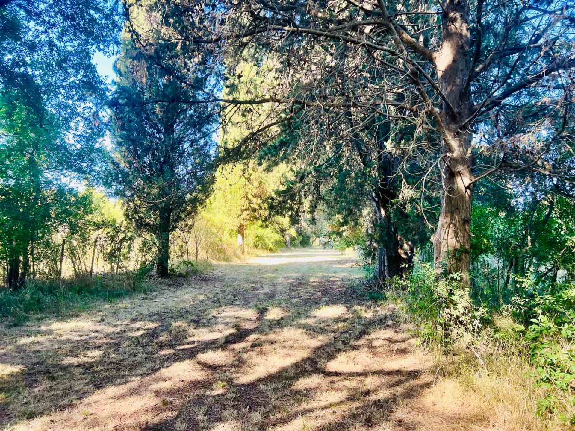 Venta Lote El Cazador, Escobar Ideal Inversor 7 ha - 19