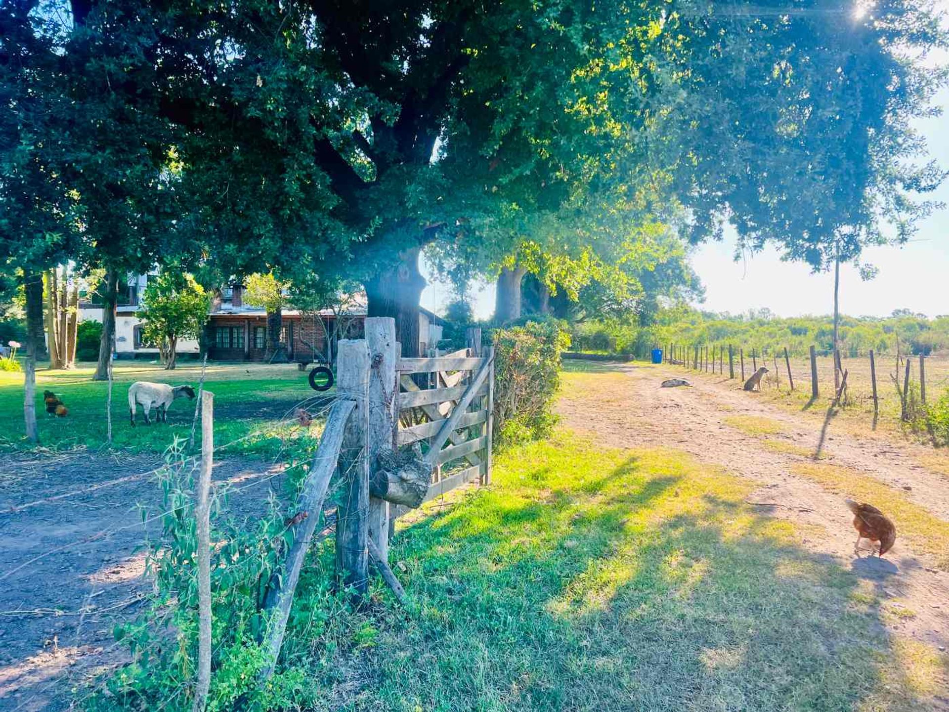Venta Lote El Cazador, Escobar Ideal Inversor 7 ha - 20