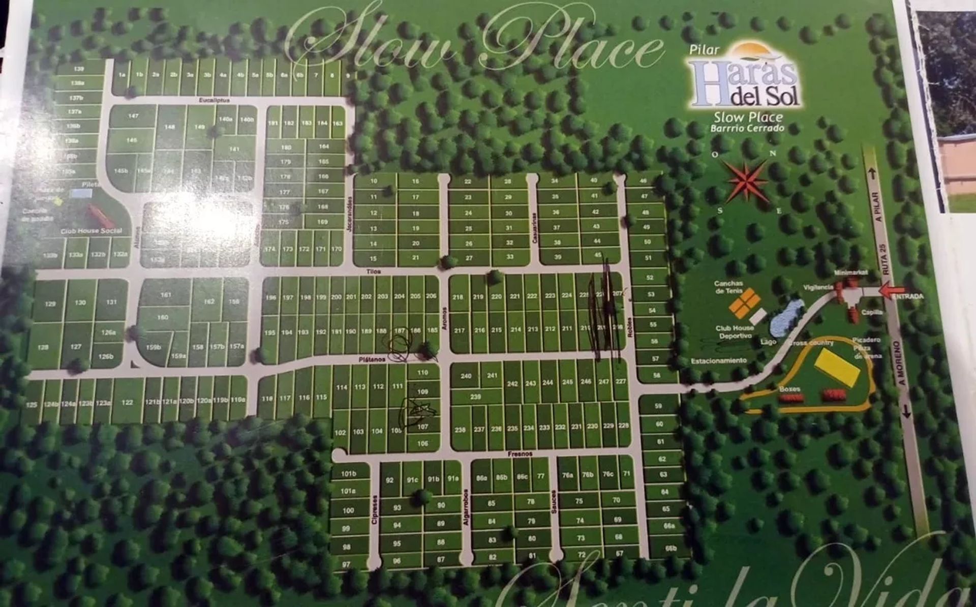 OPORTUNIDAD LOTE CENTRAL EN VENTA HARAS DEL SOL — foto 4