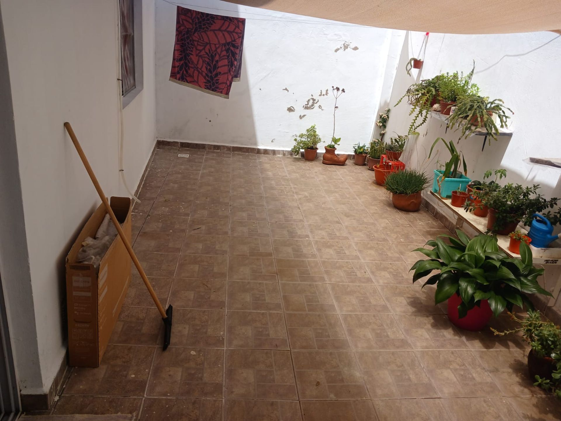 DPTO PLANTA BAJA - 9