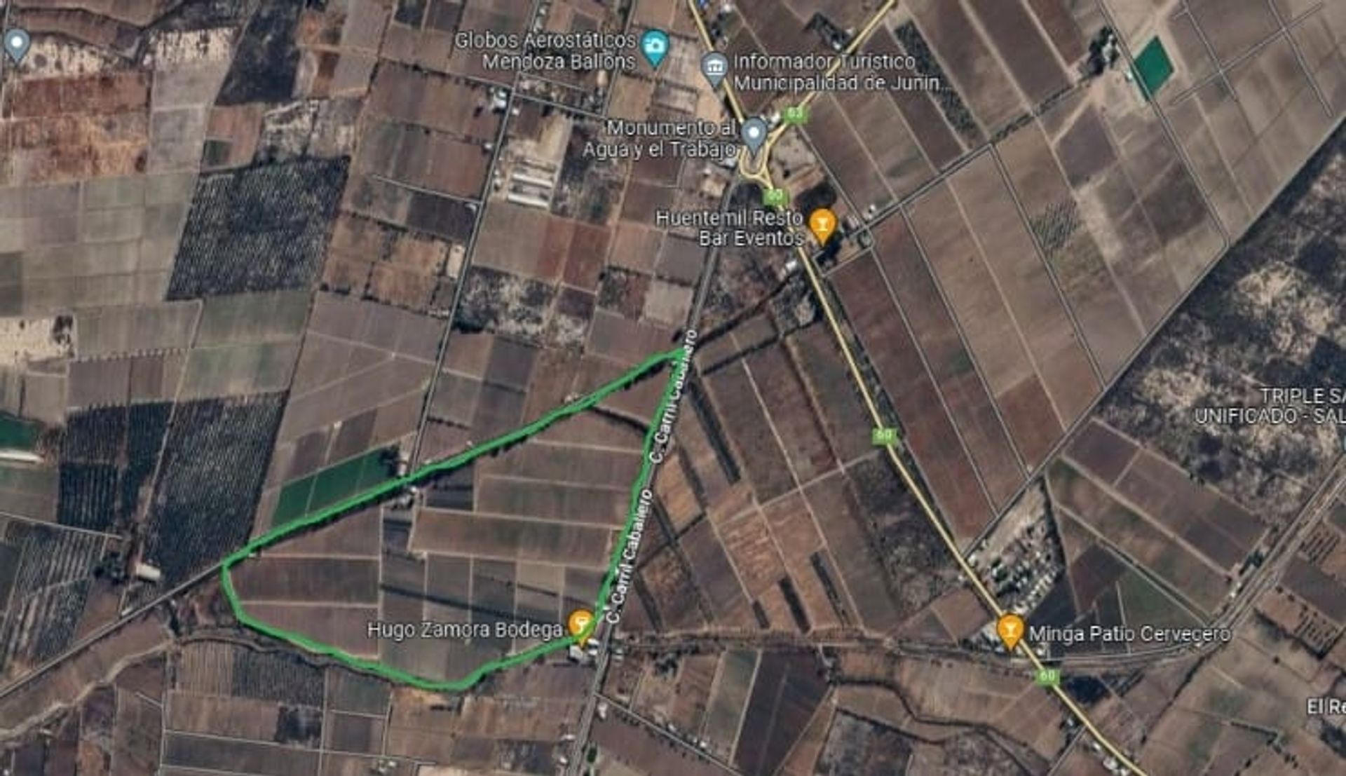 Campo en Venta en Junin, Mendoza
