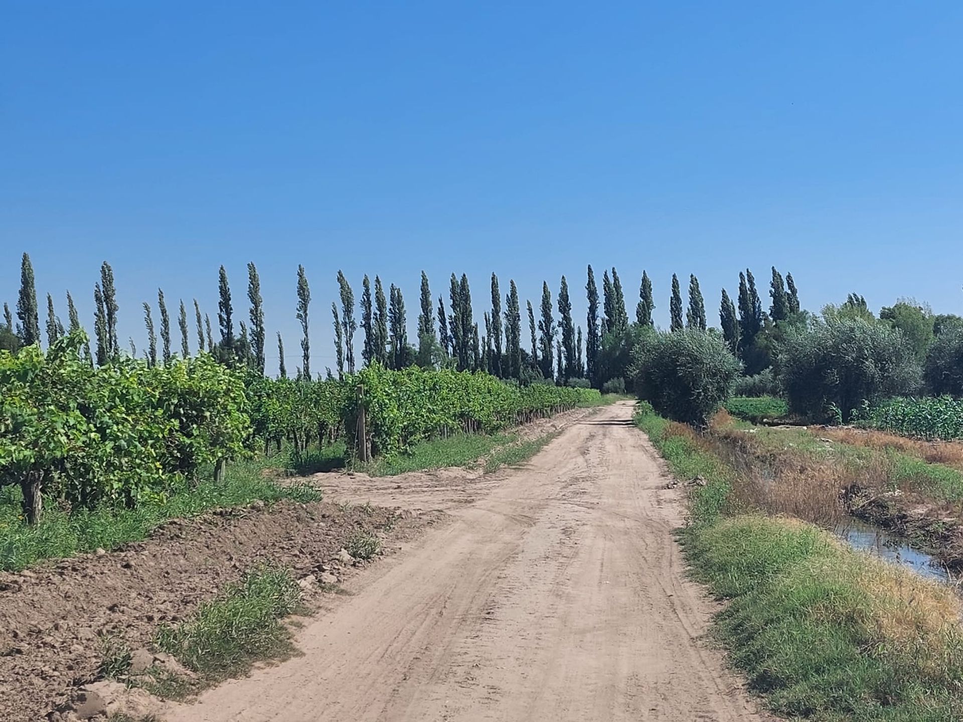 Campo en Venta en Junin, Mendoza
