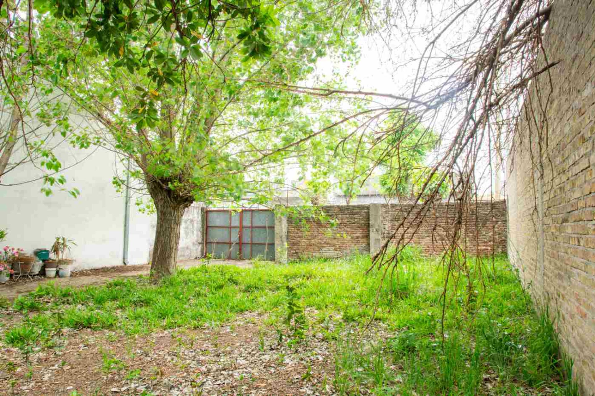 TERRENO VENTA EL PALOMAR - 3