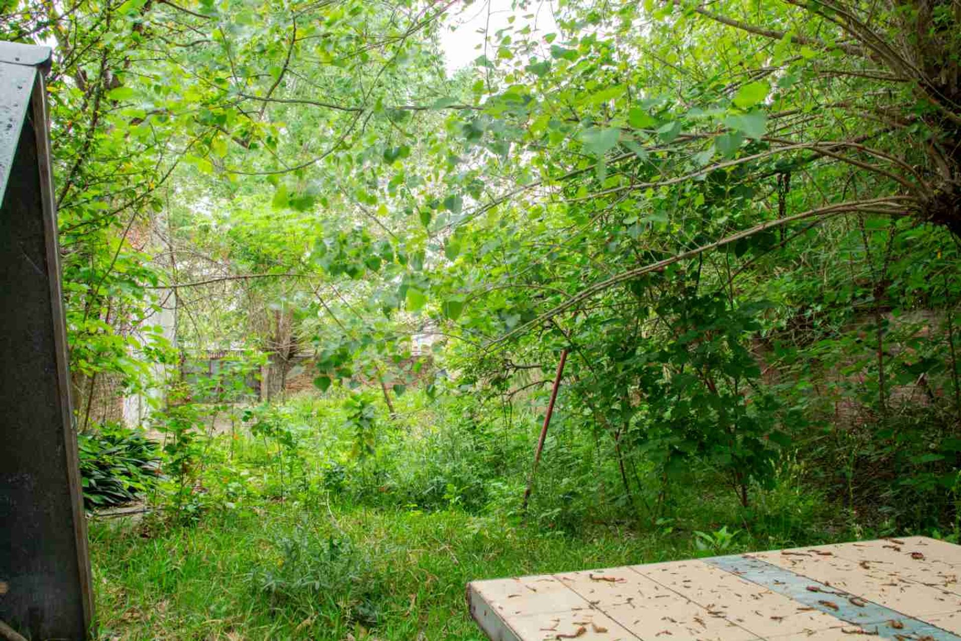 TERRENO VENTA EL PALOMAR - 9