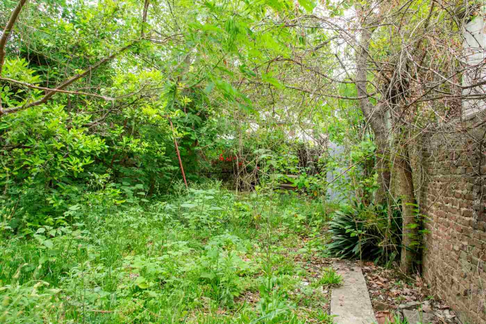 TERRENO VENTA EL PALOMAR - 7