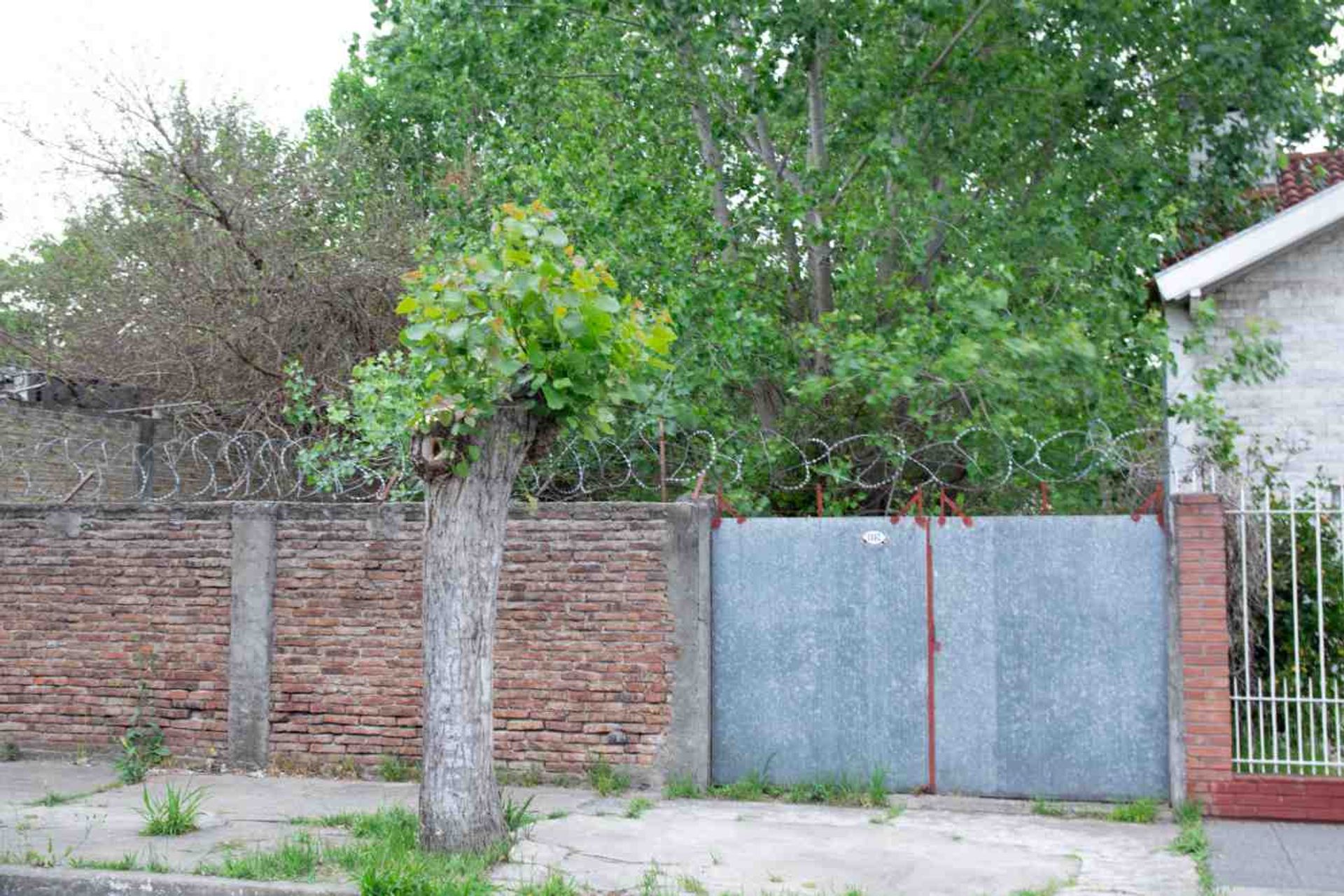TERRENO VENTA EL PALOMAR - 2