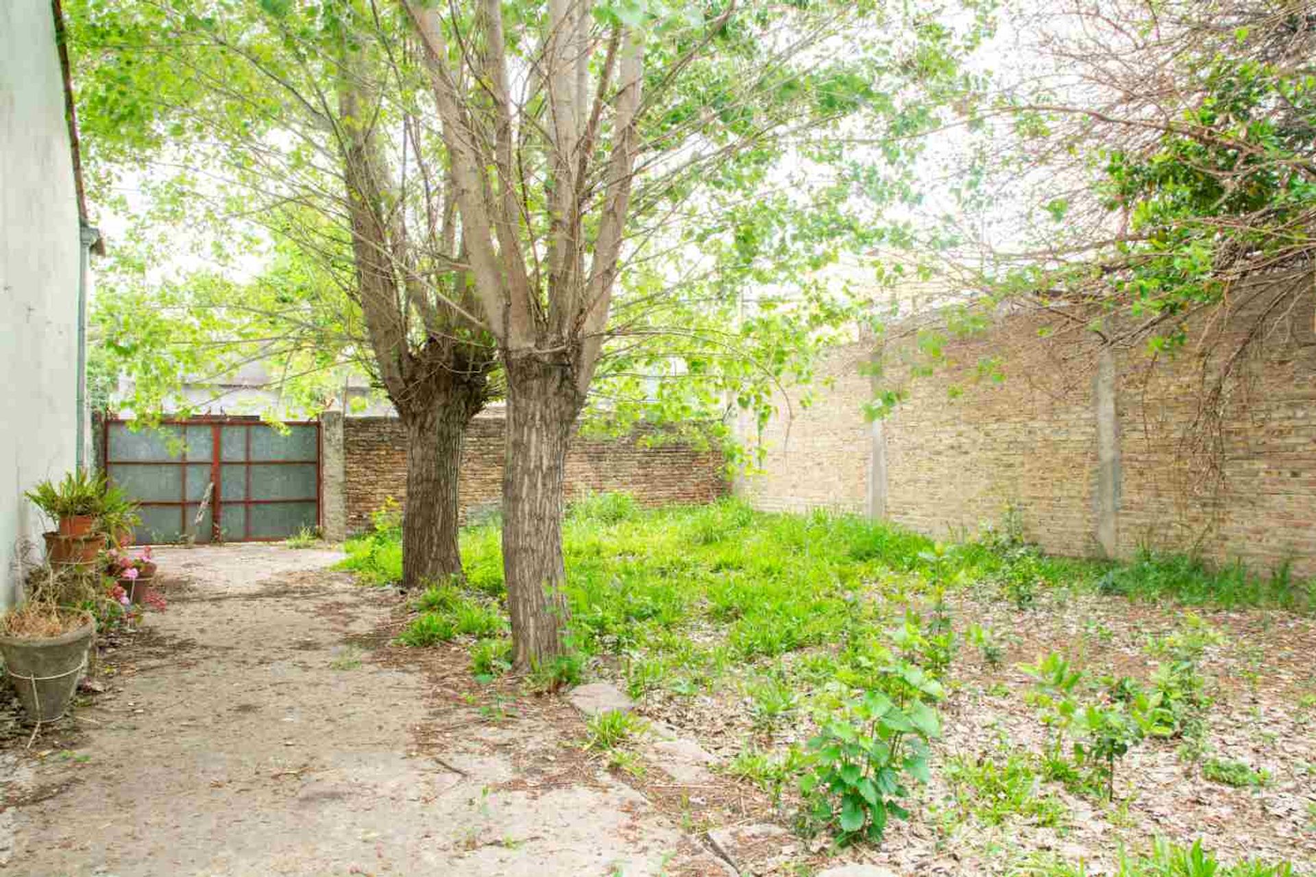 TERRENO VENTA EL PALOMAR - 1