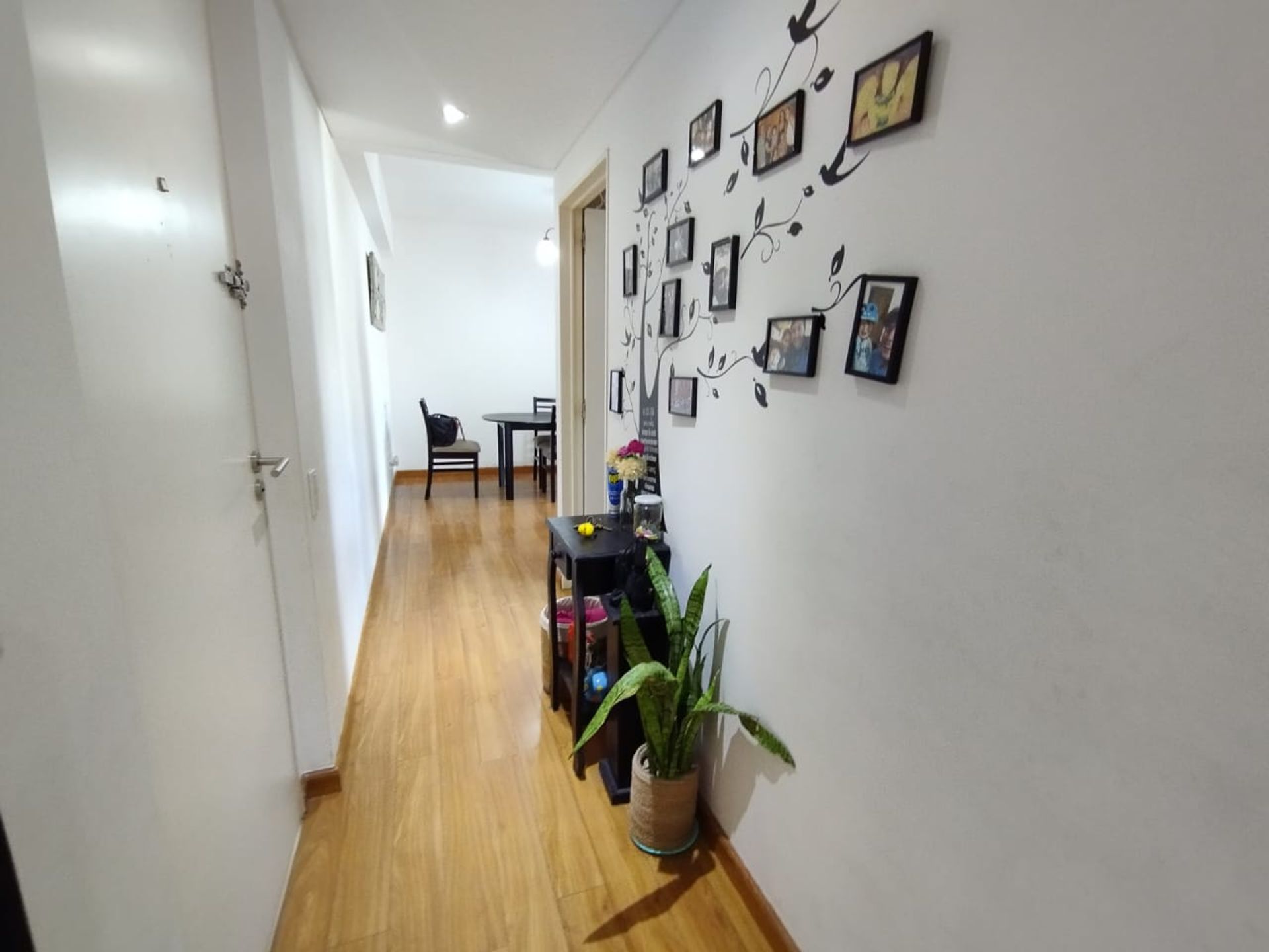 VENTA DEPTO 3 AMBIENTES SAN TELMO APTO CREDITO - 8