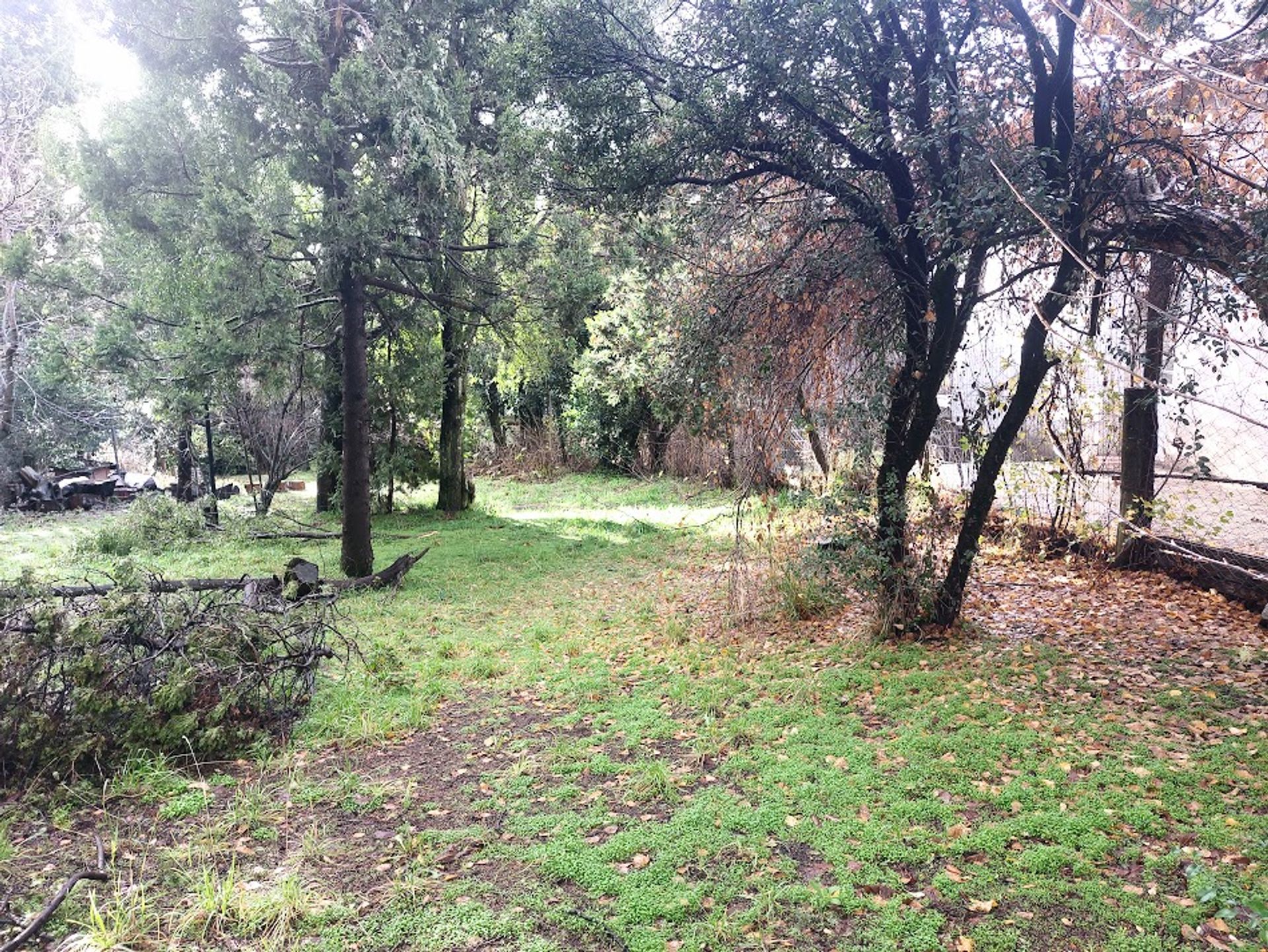 Lote en km 6 parquizado - 2