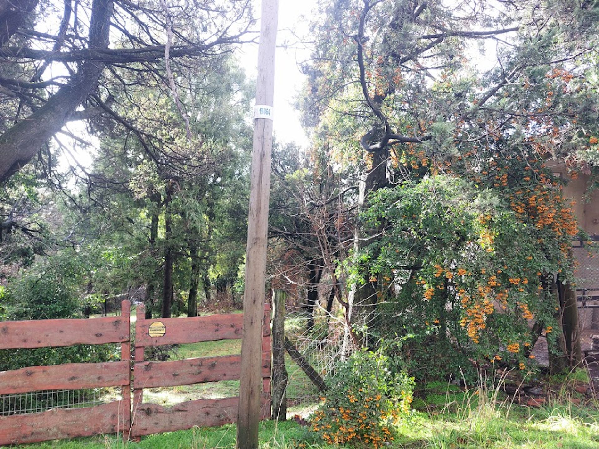 Lote en km 6 parquizado - 7