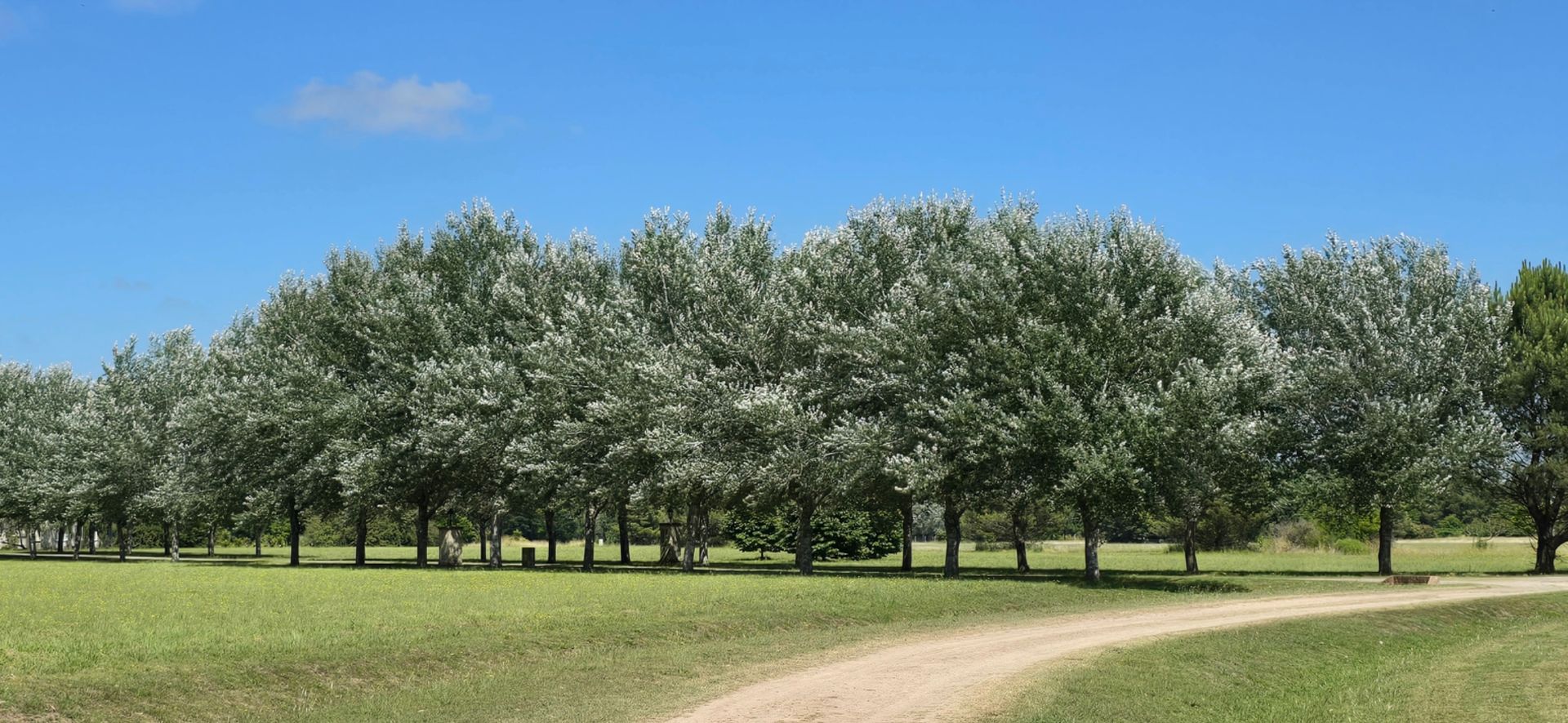 VENTA LOTE ESTANCIA VIILLA MARIA MAXIMO PAZ - 5