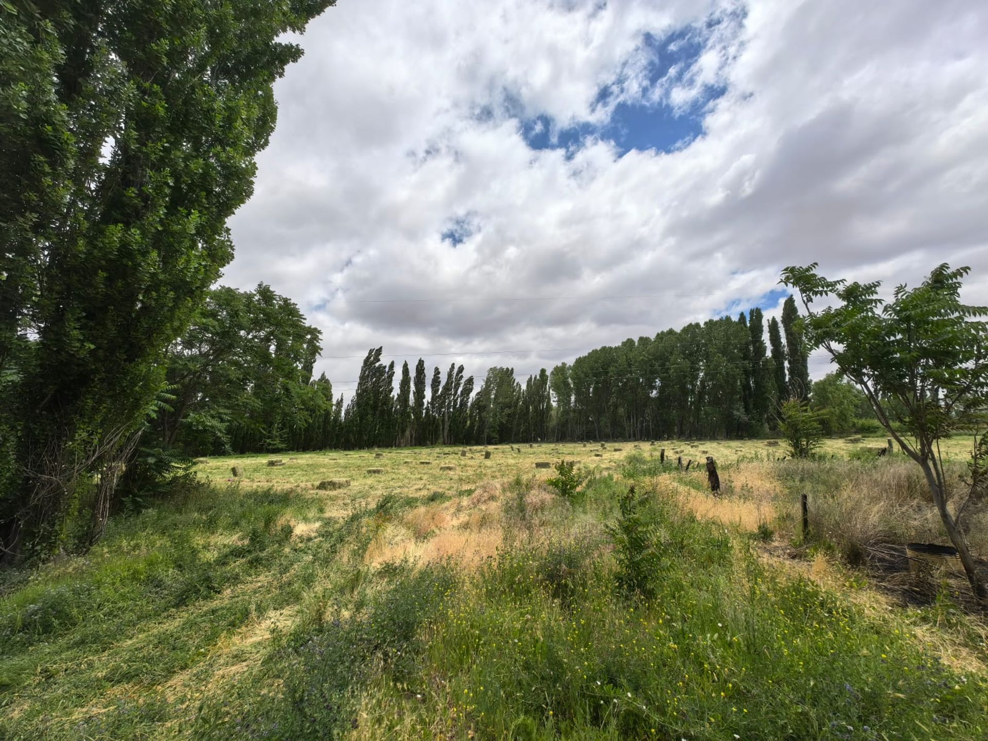 VENTA CHACRA EN PICUN LEUFU - 11