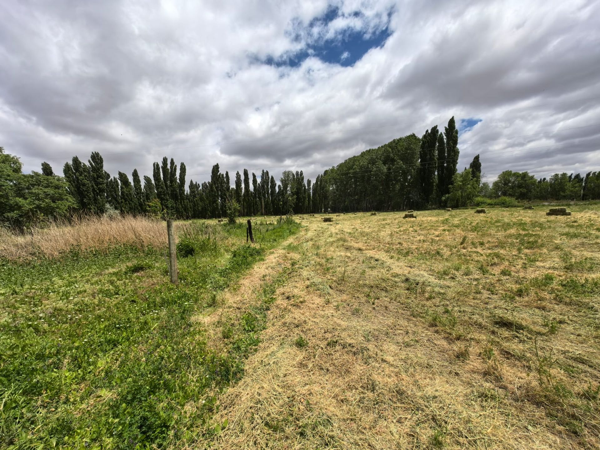 VENTA CHACRA EN PICUN LEUFU - 15