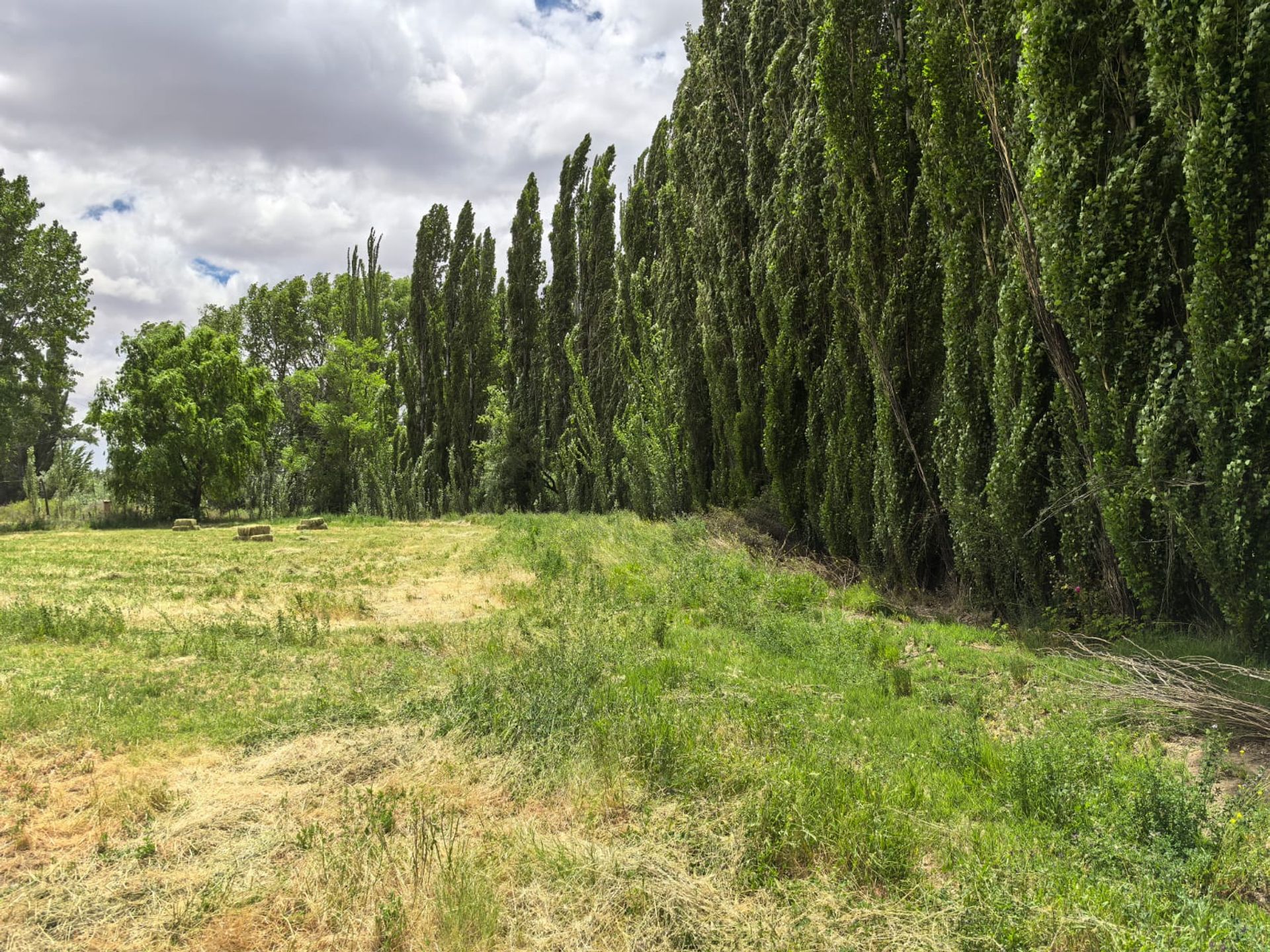 VENTA CHACRA EN PICUN LEUFU - 17