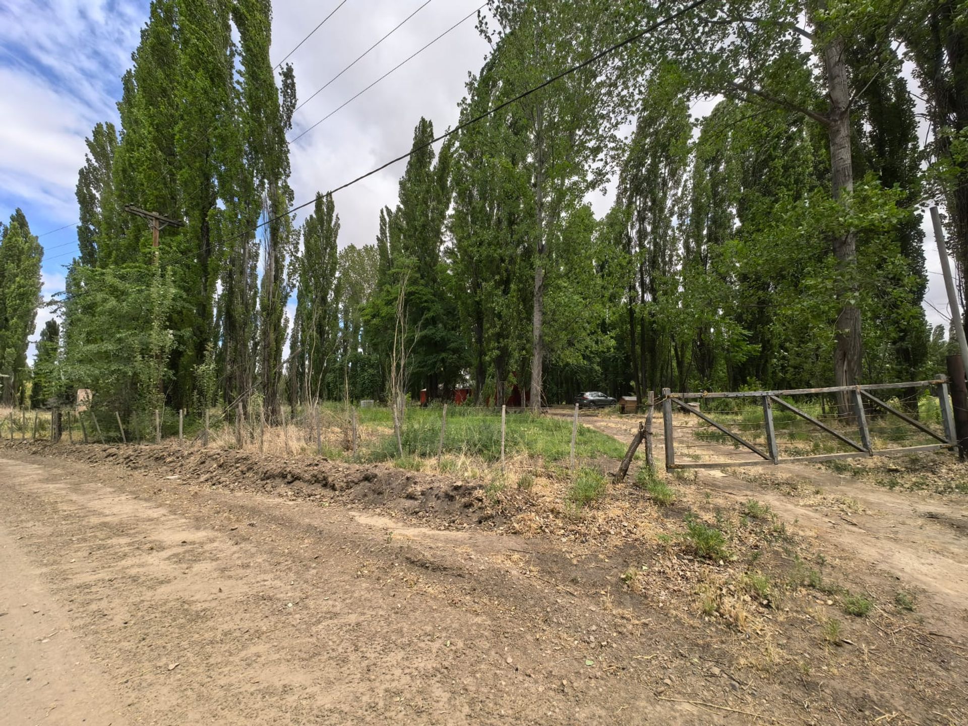 VENTA CHACRA EN PICUN LEUFU - 12