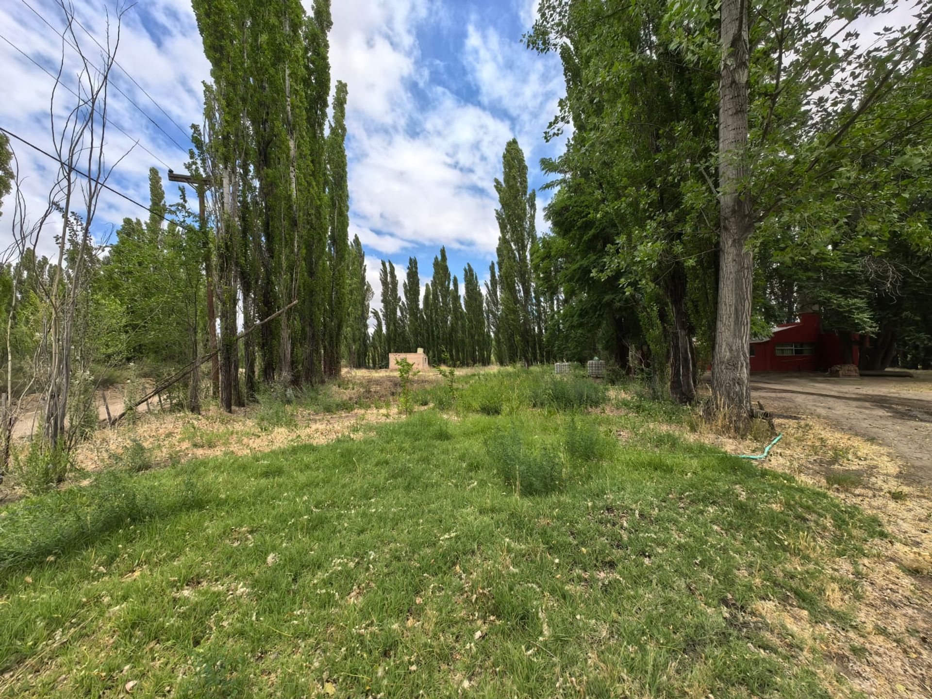 VENTA CHACRA EN PICUN LEUFU - 8