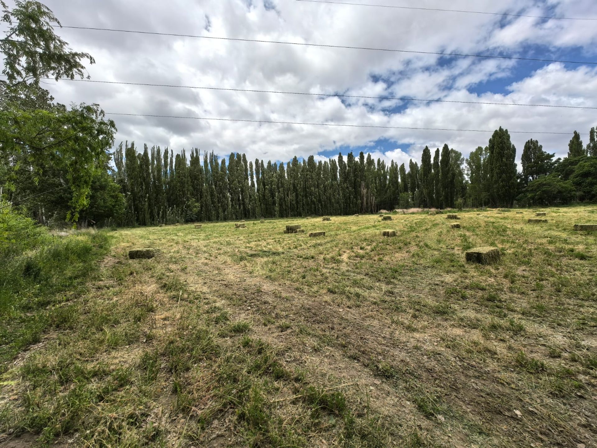VENTA CHACRA EN PICUN LEUFU - 5