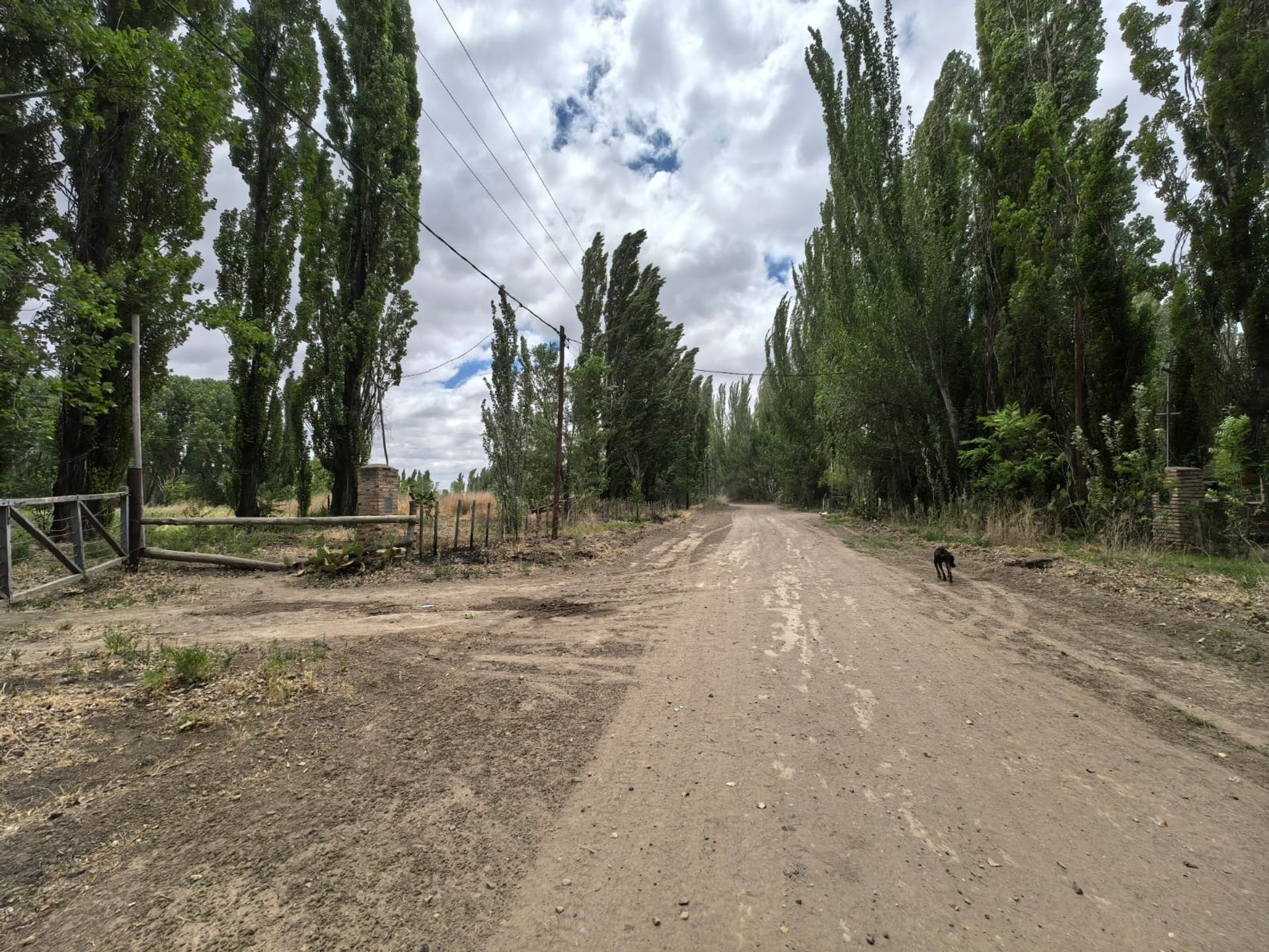 VENTA CHACRA EN PICUN LEUFU - 7