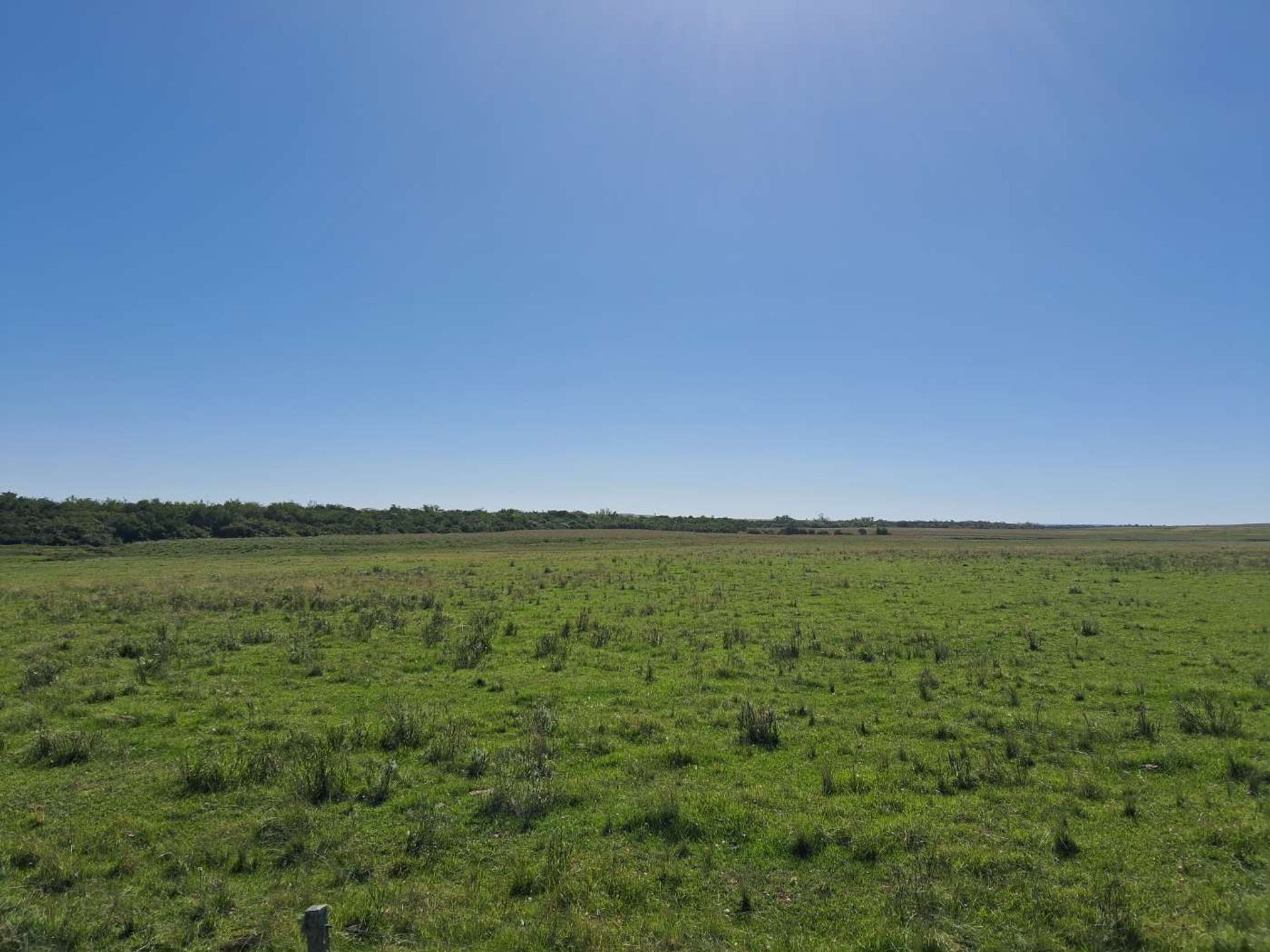 Campo en Paso Soca, Rio Negro. Rio Negro de 3500000 hectareas - Punta ...