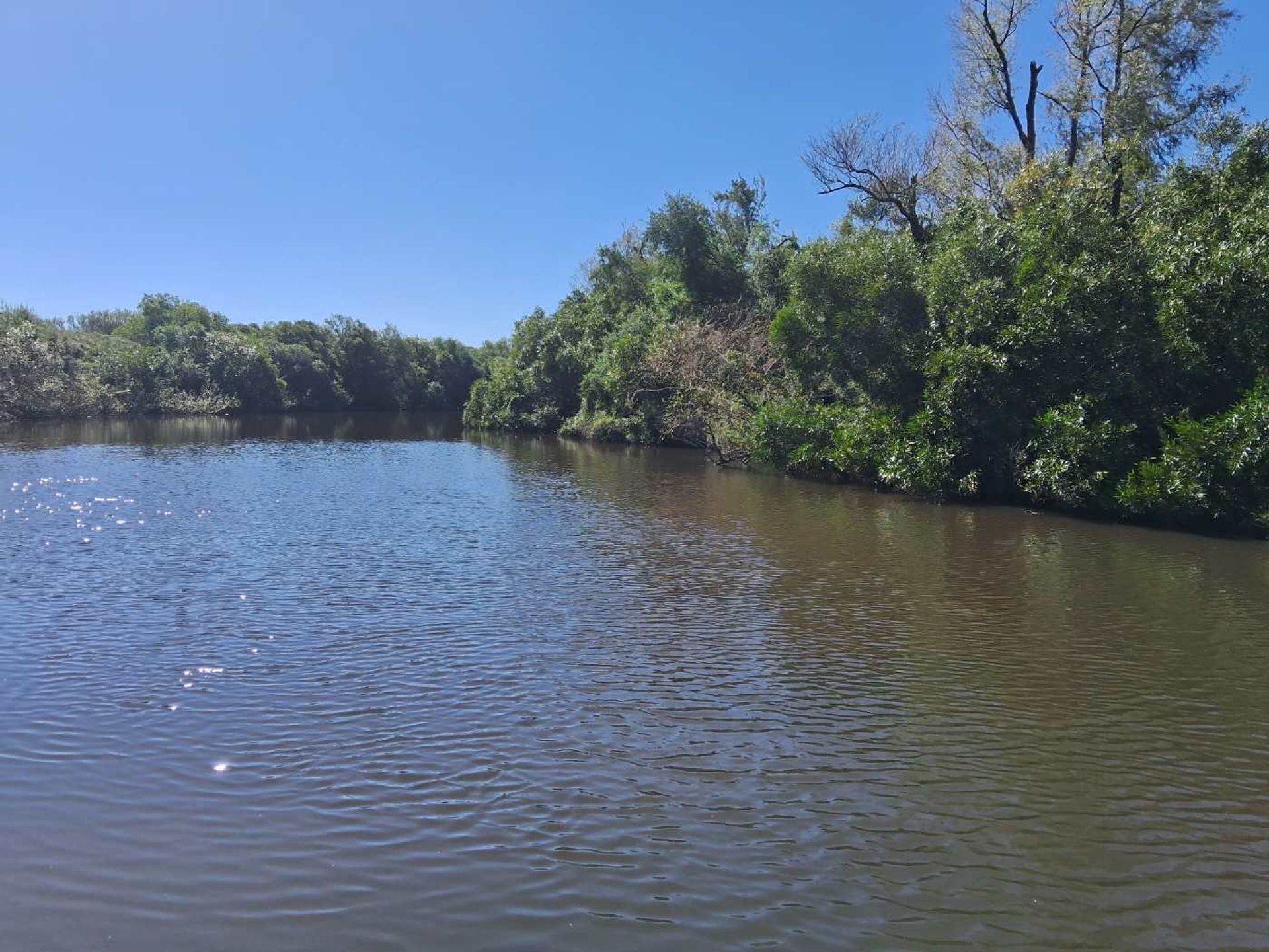 Campo en Paso Soca, Rio Negro. Rio Negro de 3500000 hectareas - Punta ...